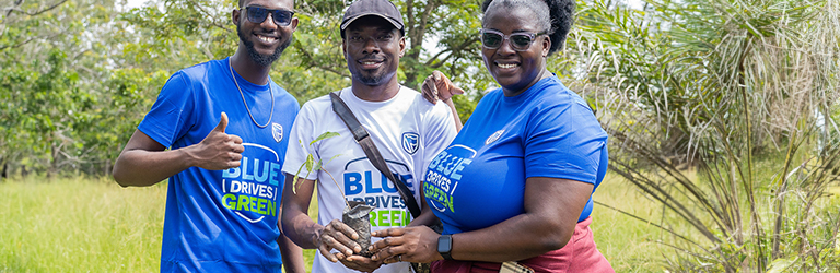 Tree Planting 24
